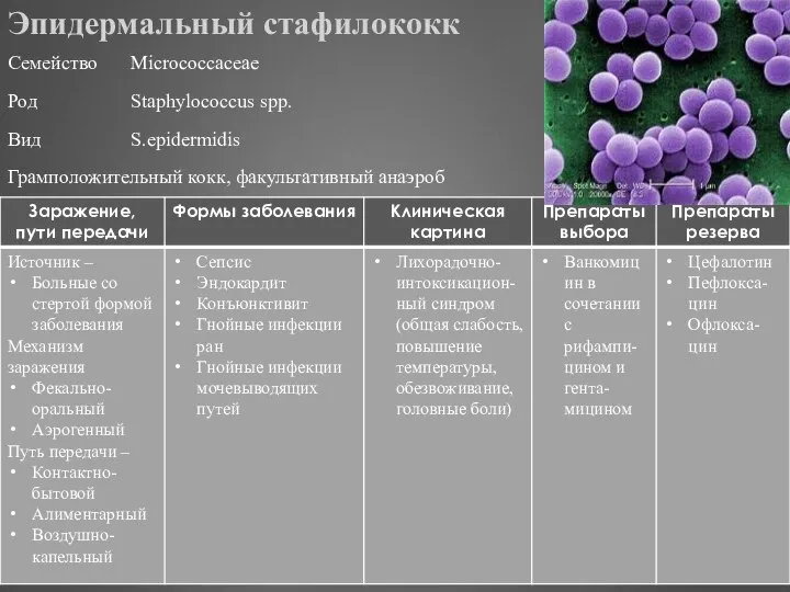 Эпидермальный стафилококк