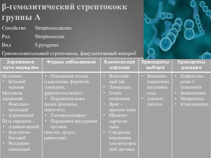 β-гемолитический стрептококк группы А