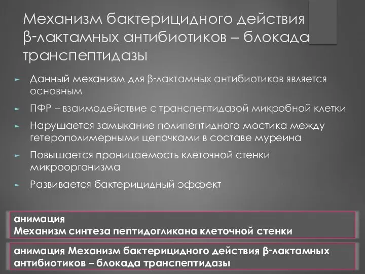 Механизм бактерицидного действия β‑лактамных антибиотиков – блокада транспептидазы Данный механизм для