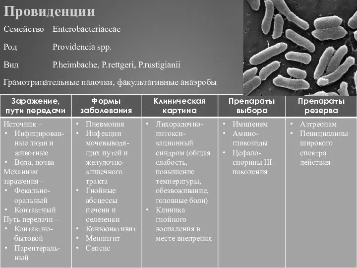 Провиденции