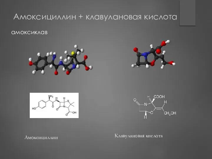 Амоксициллин + клавулановая кислота амоксиклав Клавулановая кислота Амоксициллин