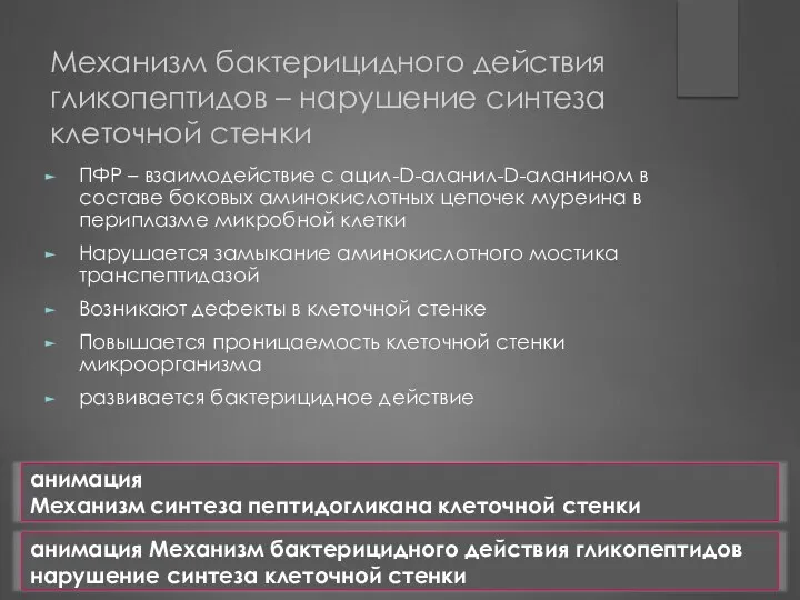 Механизм бактерицидного действия гликопептидов – нарушение синтеза клеточной стенки ПФР –