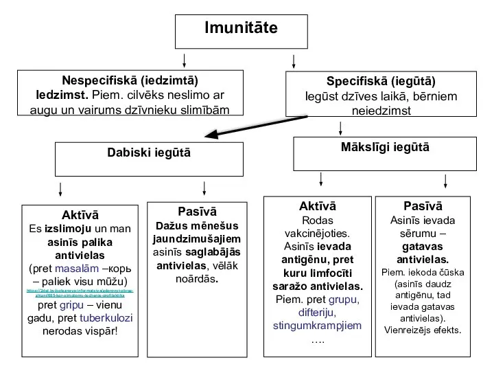 Imunitāte Nespecifiskā (iedzimtā) Iedzimst. Piem. cilvēks neslimo ar augu un vairums