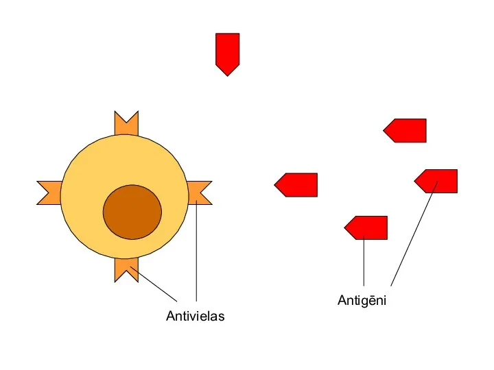 Antivielas Antigēni