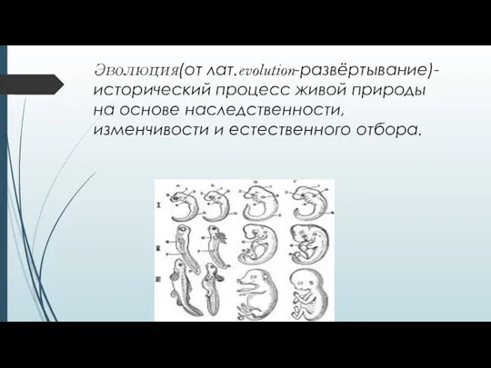 Эволюция(от лат.evolution-развёртывание)- исторический процесс живой природы на основе наследственности, изменчивости и естественного отбора.