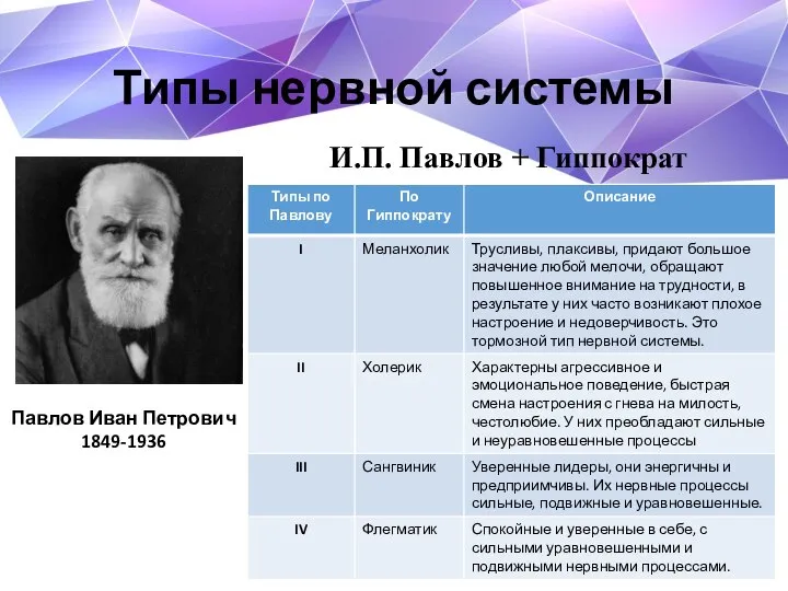 Типы нервной системы Павлов Иван Петрович 1849-1936 И.П. Павлов + Гиппократ
