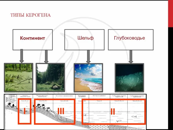 ТИПЫ КЕРОГЕНА Континент Шельф Глубоководье I III II