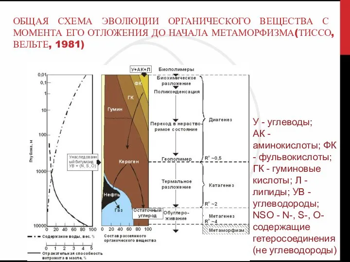 У - углеводы; АК - аминокислоты; ФК - фульвокислоты; ГК -