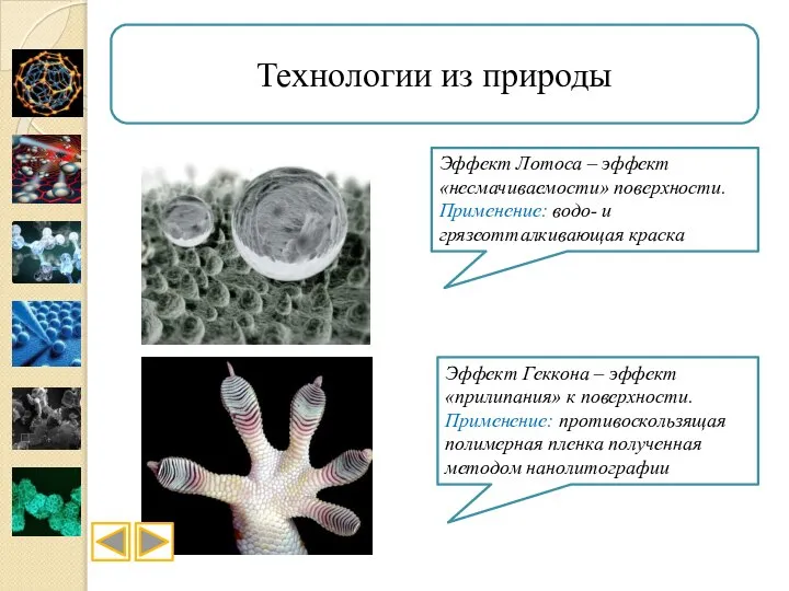 Технологии из природы