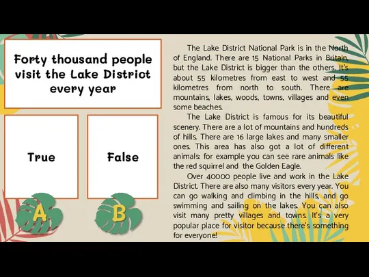 Forty thousand people visit the Lake District every year True False