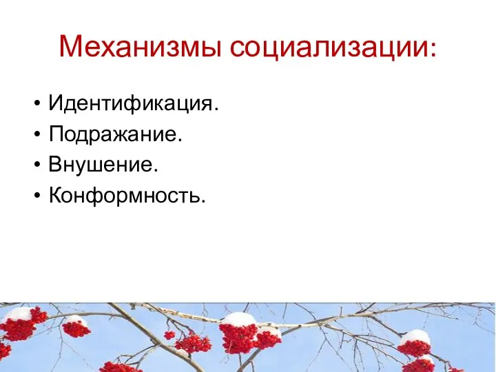 Механизмы социализации: Идентификация. Подражание. Внушение. Конформность.