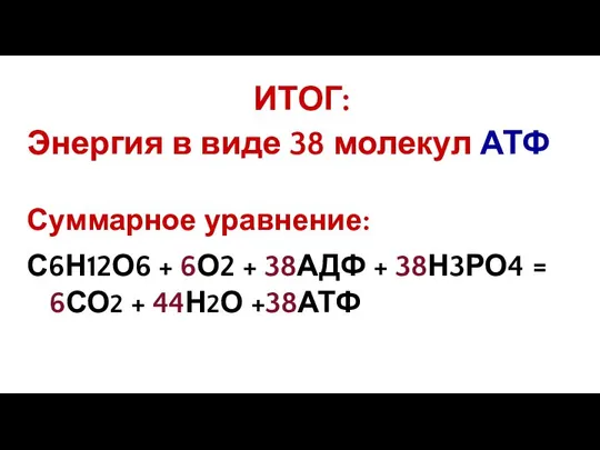 ИТОГ: Энергия в виде 38 молекул АТФ Суммарное уравнение: С6Н12О6 +