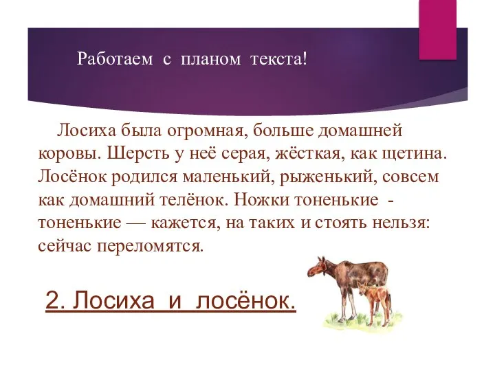 Работаем с планом текста! 2. Лосиха и лосёнок. Лосиха была огромная,