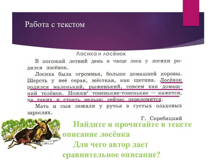 Работа с текстом Найдите и прочитайте в тексте описание лосёнка Для