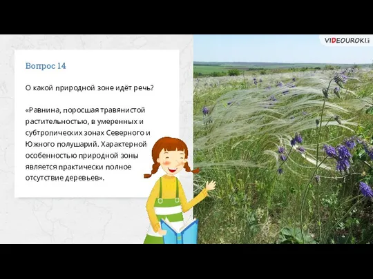 Вопрос 14 О какой природной зоне идёт речь? «Равнина, поросшая травянистой