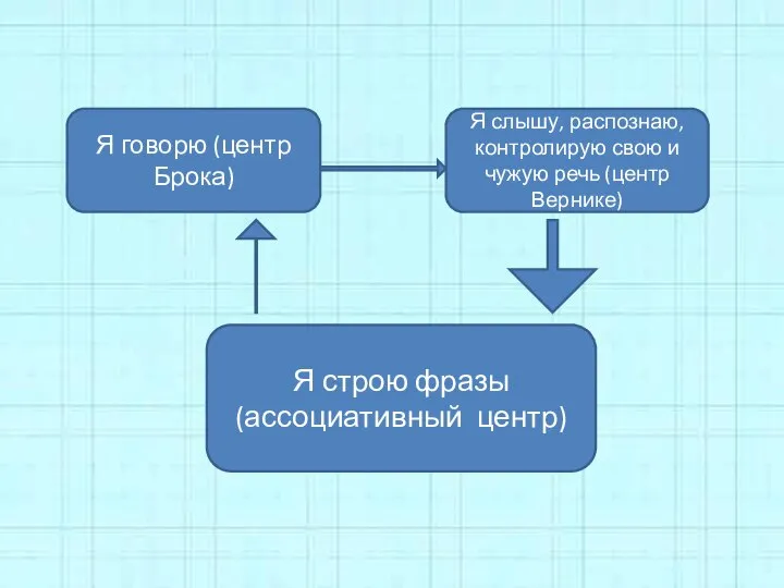 Я говорю (центр Брока) Я строю фразы (ассоциативный центр) Я слышу,