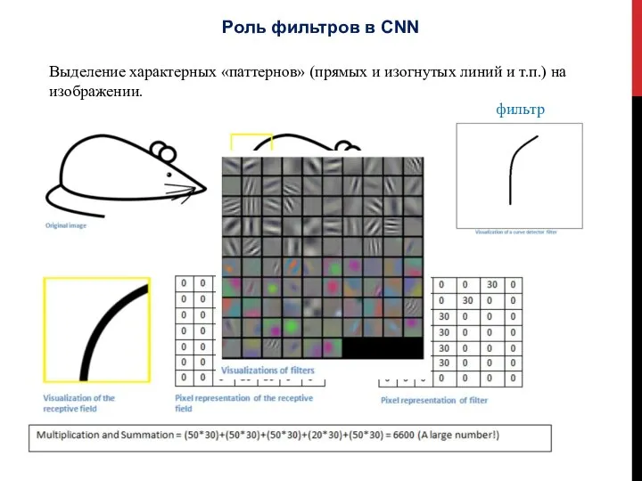 Роль фильтров в CNN Выделение характерных «паттернов» (прямых и изогнутых линий и т.п.) на изображении. фильтр