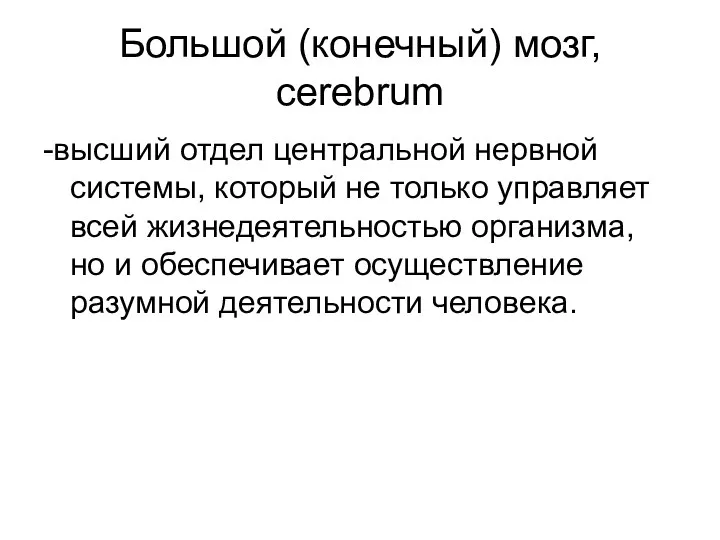 Большой (конечный) мозг, cerebrum -высший отдел центральной нервной системы, который не