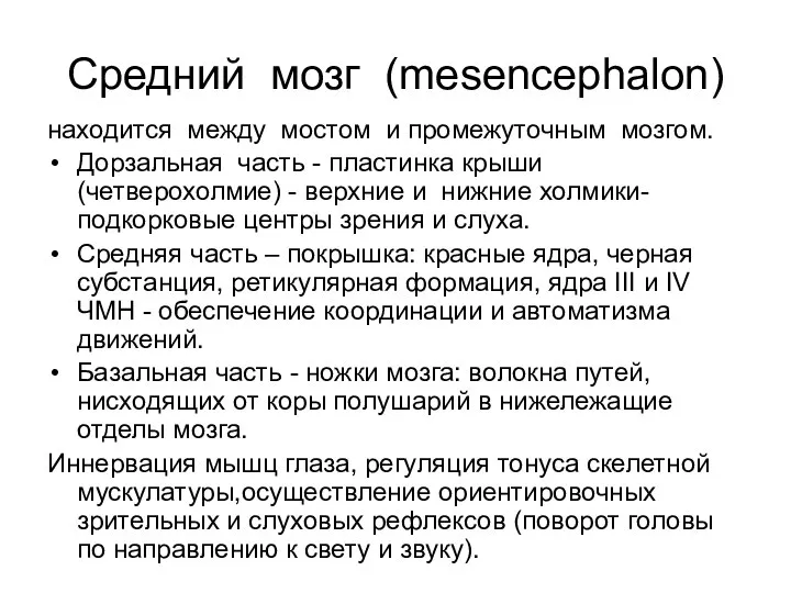 Средний мозг (mesencephalon) находится между мостом и промежуточным мозгом. Дорзальная часть