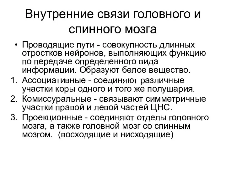 Внутренние связи головного и спинного мозга Проводящие пути - совокупность длинных