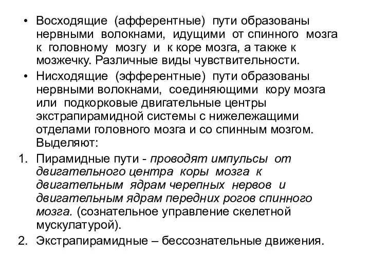 Восходящие (афферентные) пути образованы нервными волокнами, идущими от спинного мозга к