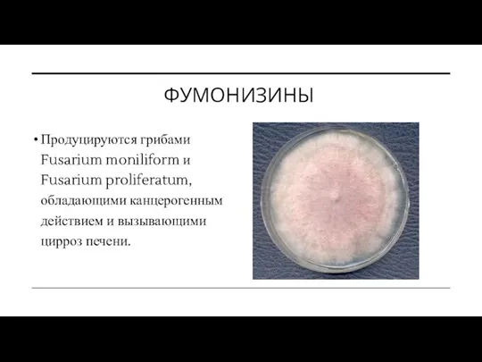 ФУМОНИЗИНЫ Продуцируются грибами Fusarium moniliform и Fusarium proliferatum, обладающими канцерогенным действием и вызывающими цирроз печени.