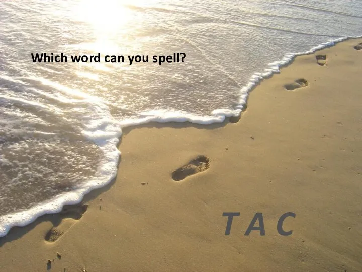 Which word can you spell? T A C