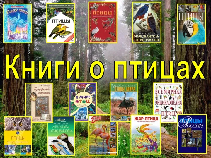 Книги о птицах