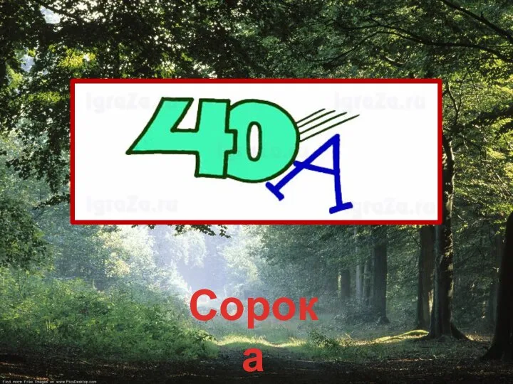 Сорока