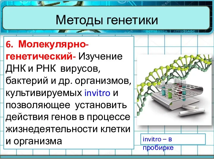 Методы генетики 6. Молекулярно-генетический- Изучение ДНК и РНК вирусов, бактерий и