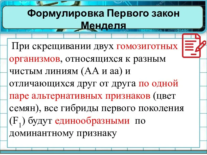 Формулировка Первого закон Менделя При скрещивании двух гомозиготных организмов, относящихся к