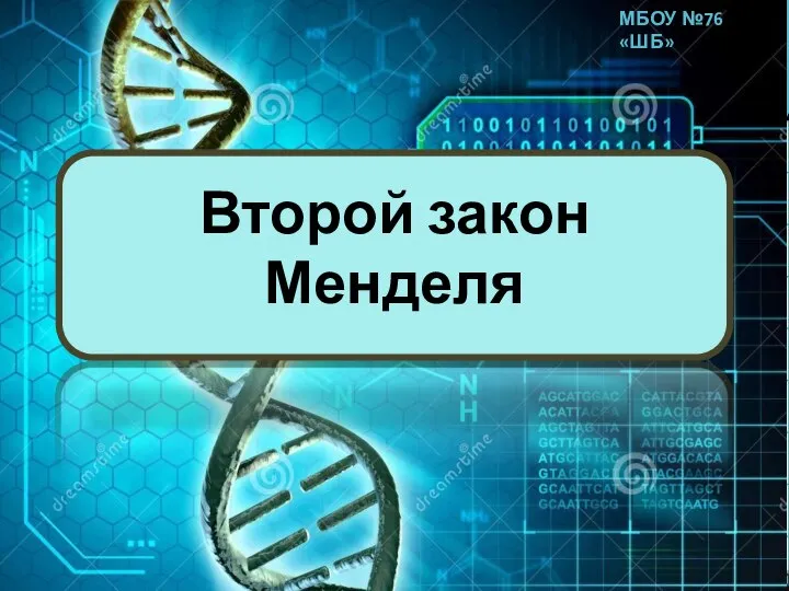 Второй закон Менделя