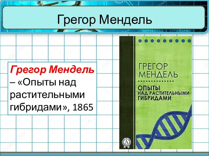 Грегор Мендель Грегор Мендель – «Опыты над растительными гибридами», 1865