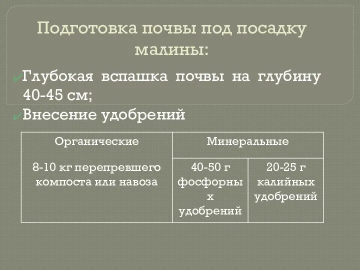 Подготовка почвы под посадку малины: Глубокая вспашка почвы на глубину 40-45 см; Внесение удобрений