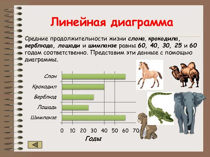 Линейная диаграмма Средние продолжительности жизни слона, крокодила, верблюда, лошади и шимпанзе