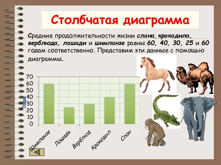 Средние продолжительности жизни слона, крокодила, верблюда, лошади и шимпанзе равны 60,