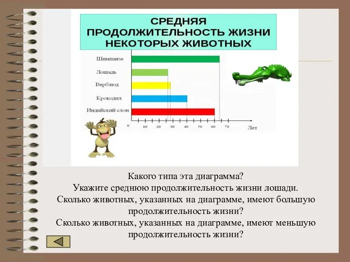 Какого типа эта диаграмма? Укажите среднюю продолжительность жизни лошади. Сколько животных,