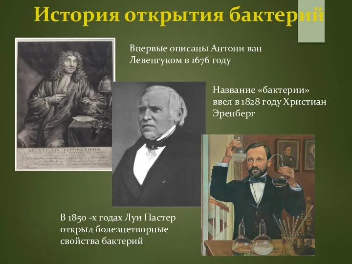 История открытия бактерий В 1850 -х годах Луи Пастер открыл болезнетворные