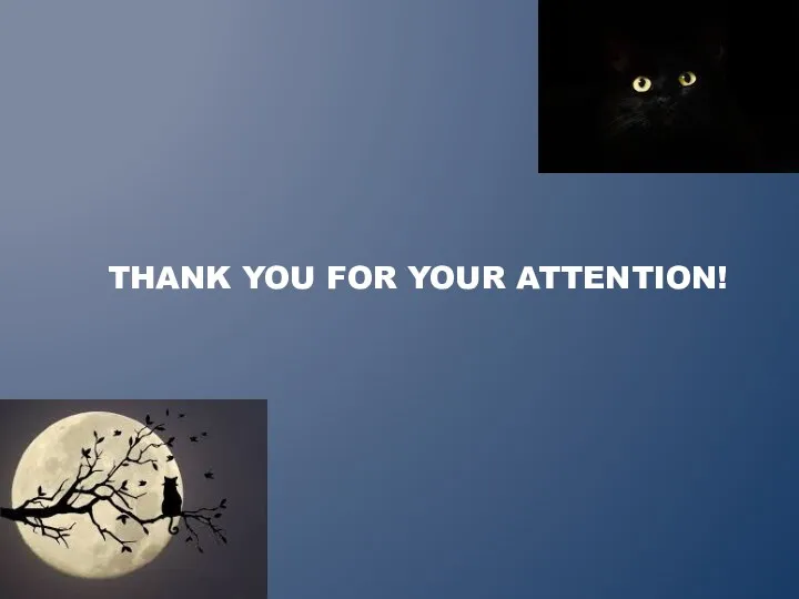 THANK YOU FOR YOUR ATTENTION!