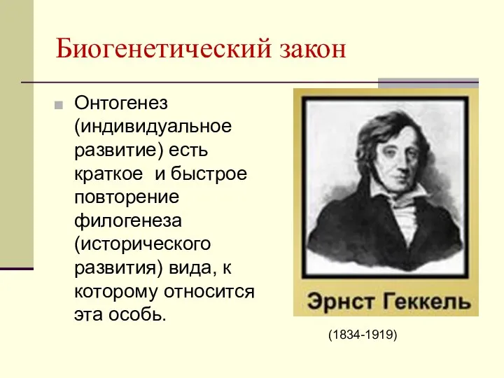 Биогенетический закон Онтогенез (индивидуальное развитие) есть краткое и быстрое повторение филогенеза