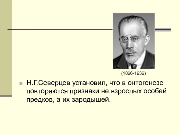 Н.Г.Северцев установил, что в онтогенезе повторяются признаки не взрослых особей предков, а их зародышей. (1866-1936)