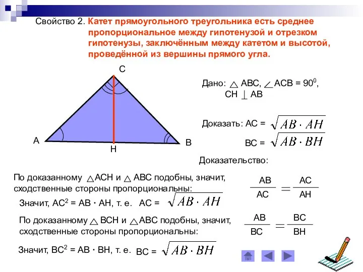 Свойство 2. Катет прямоугольного треугольника есть среднее пропорциональное между гипотенузой и