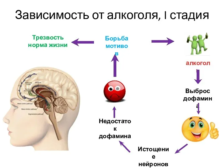 Зависимость от алкоголя, I стадия