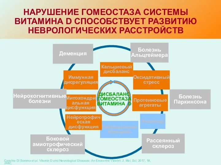 Carolina Di Somma et al. Vitamin D and Neurological Diseases: An