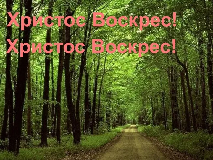 . Христос Воскрес! Христос Воскрес!