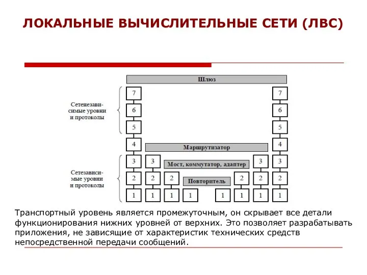 ЛОКАЛЬНЫЕ ВЫЧИСЛИТЕЛЬНЫЕ СЕТИ (ЛВС) Транспортный уровень является промежуточным, он скрывает все