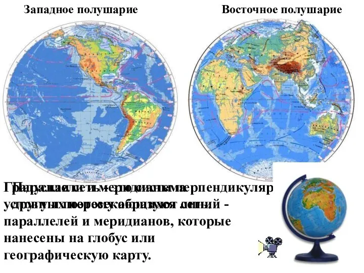 Параллели и меридианы перпендикулярны друг другу и поэтому образуют сеть. Градусная