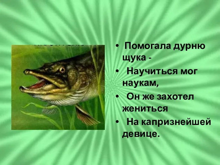 Помогала дурню щука - Научиться мог наукам, Он же захотел жениться На капризнейшей девице.