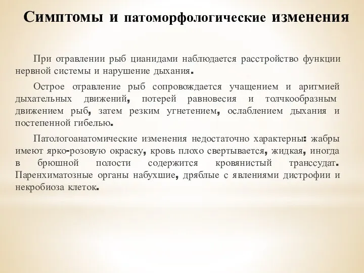 Симптомы и патоморфологические изменения При отравлении рыб цианидами наблюдается расстройство функции