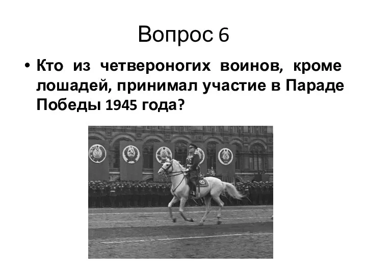 Вопрос 6 Кто из четвероногих воинов, кроме лошадей, принимал участие в Параде Победы 1945 года?